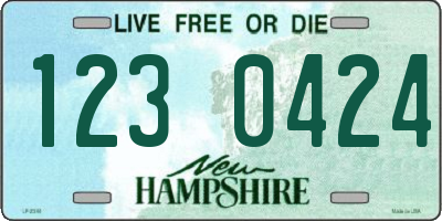 NH license plate 1230424