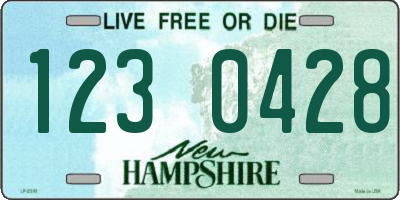 NH license plate 1230428