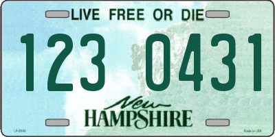 NH license plate 1230431