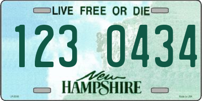 NH license plate 1230434
