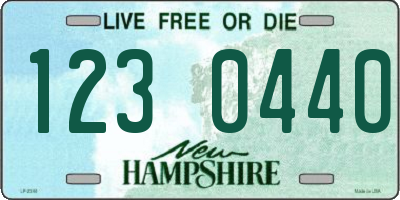 NH license plate 1230440