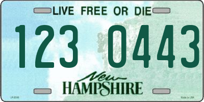 NH license plate 1230443