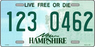 NH license plate 1230462