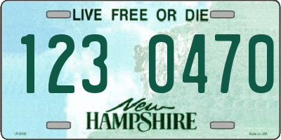 NH license plate 1230470