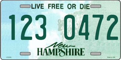 NH license plate 1230472