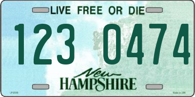 NH license plate 1230474
