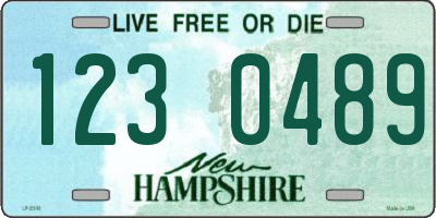 NH license plate 1230489