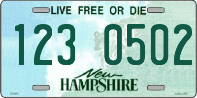 NH license plate 1230502