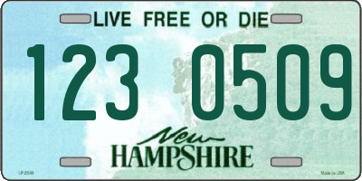 NH license plate 1230509