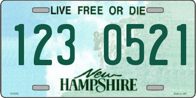 NH license plate 1230521