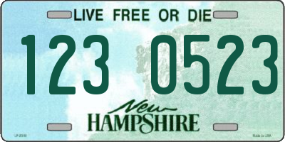 NH license plate 1230523