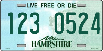 NH license plate 1230524