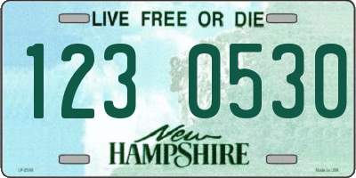 NH license plate 1230530