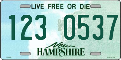 NH license plate 1230537