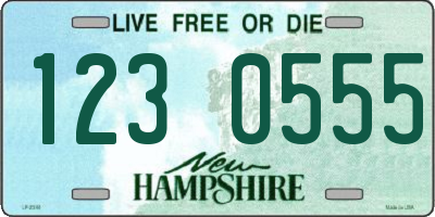 NH license plate 1230555