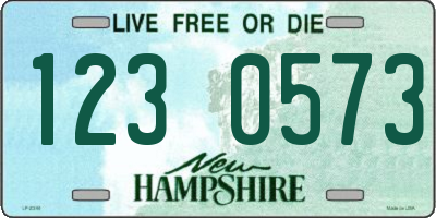 NH license plate 1230573