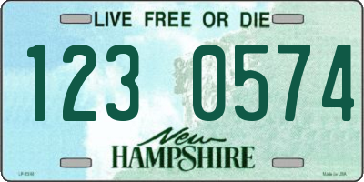 NH license plate 1230574