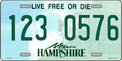 NH license plate 1230576