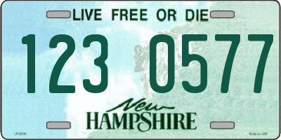 NH license plate 1230577