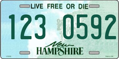 NH license plate 1230592