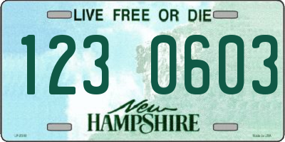 NH license plate 1230603
