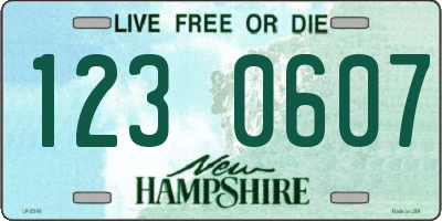 NH license plate 1230607