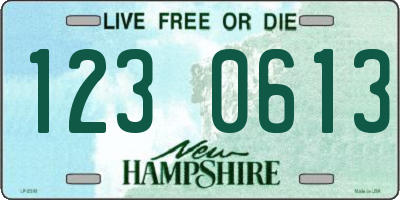 NH license plate 1230613
