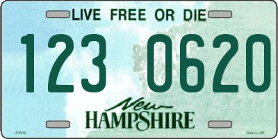 NH license plate 1230620
