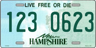 NH license plate 1230623