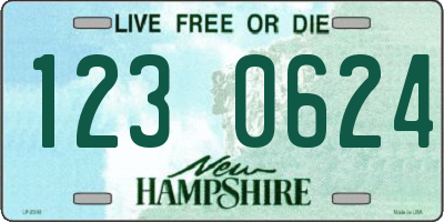 NH license plate 1230624