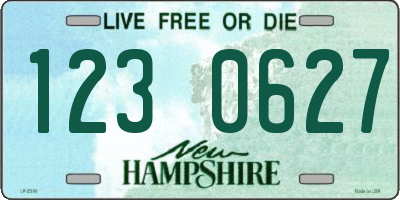 NH license plate 1230627