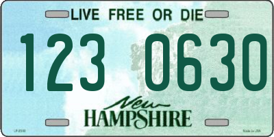NH license plate 1230630