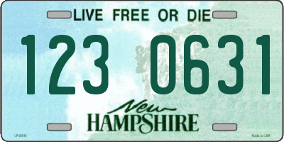 NH license plate 1230631