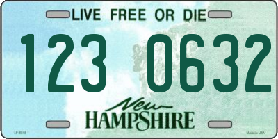 NH license plate 1230632