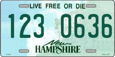 NH license plate 1230636