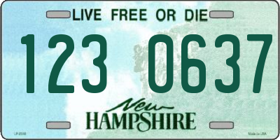 NH license plate 1230637