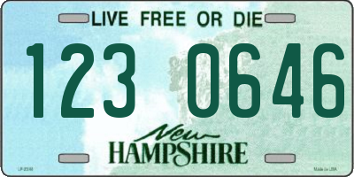 NH license plate 1230646