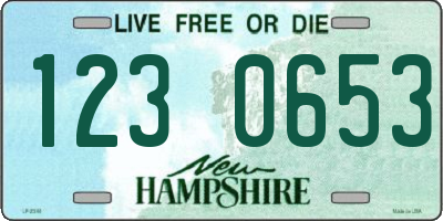 NH license plate 1230653