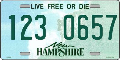 NH license plate 1230657