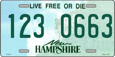 NH license plate 1230663