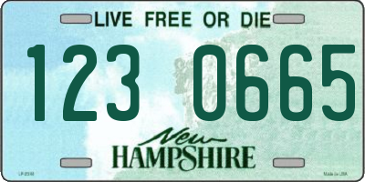NH license plate 1230665