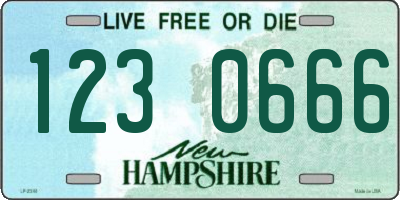 NH license plate 1230666
