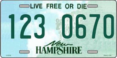 NH license plate 1230670