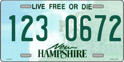 NH license plate 1230672