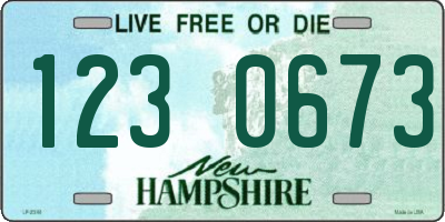 NH license plate 1230673