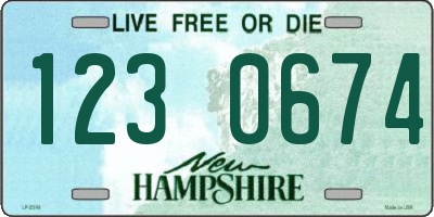NH license plate 1230674