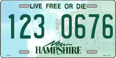 NH license plate 1230676