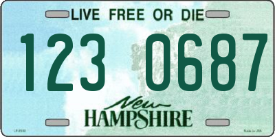 NH license plate 1230687