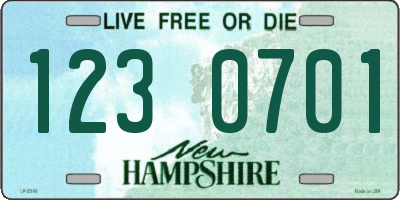NH license plate 1230701
