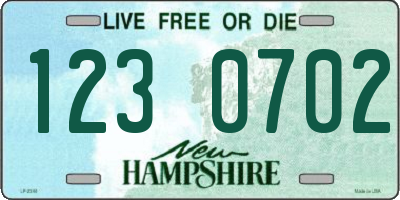 NH license plate 1230702